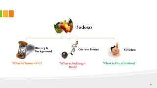 Sodexo
History &
Background
Current Issues Solution
What is Sunnyvale? What is holding it
back?
What is the solution?
10
 