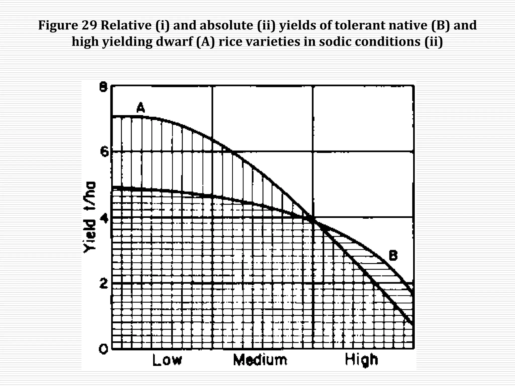 Figure 29 Relative (i) and absolute (ii) yields of tolerant native (B) and
high yielding dwarf (A) rice varieties in sodic conditions (ii)
 