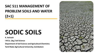 SODIC SOILS
K. Avinash
I M.Sc. (Ag.) Soil Science
Department of Soil Science and Agricultural Chemistry
Tamil Nadu Agricultural University, Coimbatore
SAC 511 MANAGEMENT OF
PROBLEM SOILS AND WATER
(2+1)
 