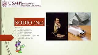 SODIO (Na)
GRUPO 4:
- ANDREA MIGUEL
- JADIYI MENDOZA
- ALEJANDRO MELGAREJO
- MIGUEL MENDOZA
 
