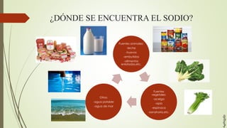 ¿DÓNDE SE ENCUENTRA EL SODIO?
Fuentes animales:
-leche
-huevos
-embutidos
-alimentos
enlatados,etc.
Fuentes
vegetales:
-acelga
-apio
-espinaca
-zanahoria,etc.
Otros:
-agua potable
-agua de mar
 