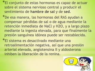 *El conjunto de estas hormonas es capaz de actuar
sobre el sistema nervioso central y producir el
sentimiento de hambre de sal y de sed.
*De esa manera, las hormonas del RAS ayudan a
compensar pérdidas de sal o de agua mediante la
retención inmediata de NaCl y H2O, y a largo plazo
mediante la ingesta elevada, para que finalmente la
presión sanguínea idónea puede ser restablecida.
*El sistema es desactivado mediante una
retroalimentación negativa, así que una presión
arterial elevada, angiotensina II y aldosterona
inhiben la liberación de la renina.
 