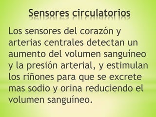 Los sensores del corazón y
arterias centrales detectan un
aumento del volumen sanguíneo
y la presión arterial, y estimulan
los riñones para que se excrete
mas sodio y orina reduciendo el
volumen sanguíneo.
 