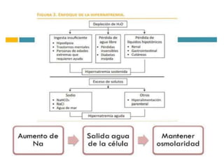 Hipernatremia
• [Na+] > 145mEq/l
• Severa: [Na+] > 155mEq/l
• Aguda: < 48 horas.
• Crónica: > 48 horas.
• Siempre va acompañada de hiperosmolaridad.
• Son producto de un déficit de agua corporal total
en relación al sodio.
La clínica es similar a la de
hiponatremia.
 