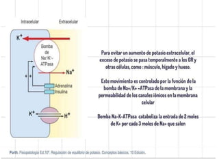 Potasio
• Principal catión intracelular.
• Potasio corporal total: 50mEq/Kg.
• 2% se encuentra en el líquido extracelular.
• Menos del 1% se encuentra en el plasma.
• Su absorción y excreción están manejadas por el
intestino y riñón respectivamente.
El potasio sérico es un mal
indicador de las reservas
corporales de potasio.
 