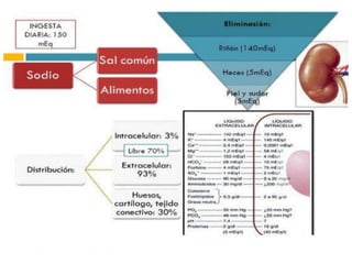 Textbook of medical physiology / Arthur C. Guyton,
John E. Hall.—11th ed. 2006.
 