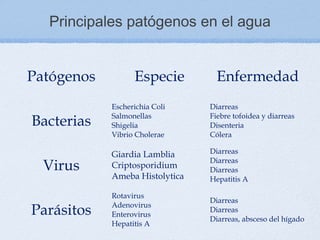 Principales patógenos en el agua


Patógenos         Especie         Enfermedad
            Escherichia Coli    Diarreas

Bacterias   Salmonellas
            Shigelia
                                Fiebre tofoidea y diarreas
                                Disenteria
            Vibrio Cholerae     Cólera

            Giardia Lamblia     Diarreas

  Virus     Criptosporidium
                                Diarreas
                                Diarreas
            Ameba Histolytica   Hepatitis A

            Rotavirus
                                Diarreas
Parásitos   Adenovirus
            Enterovirus
                                Diarreas
                                Diarreas, absceso del hígado
            Hepatitis A
 