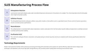 Sodium Laureth Sulfate Production Plant Project Report | PPTX