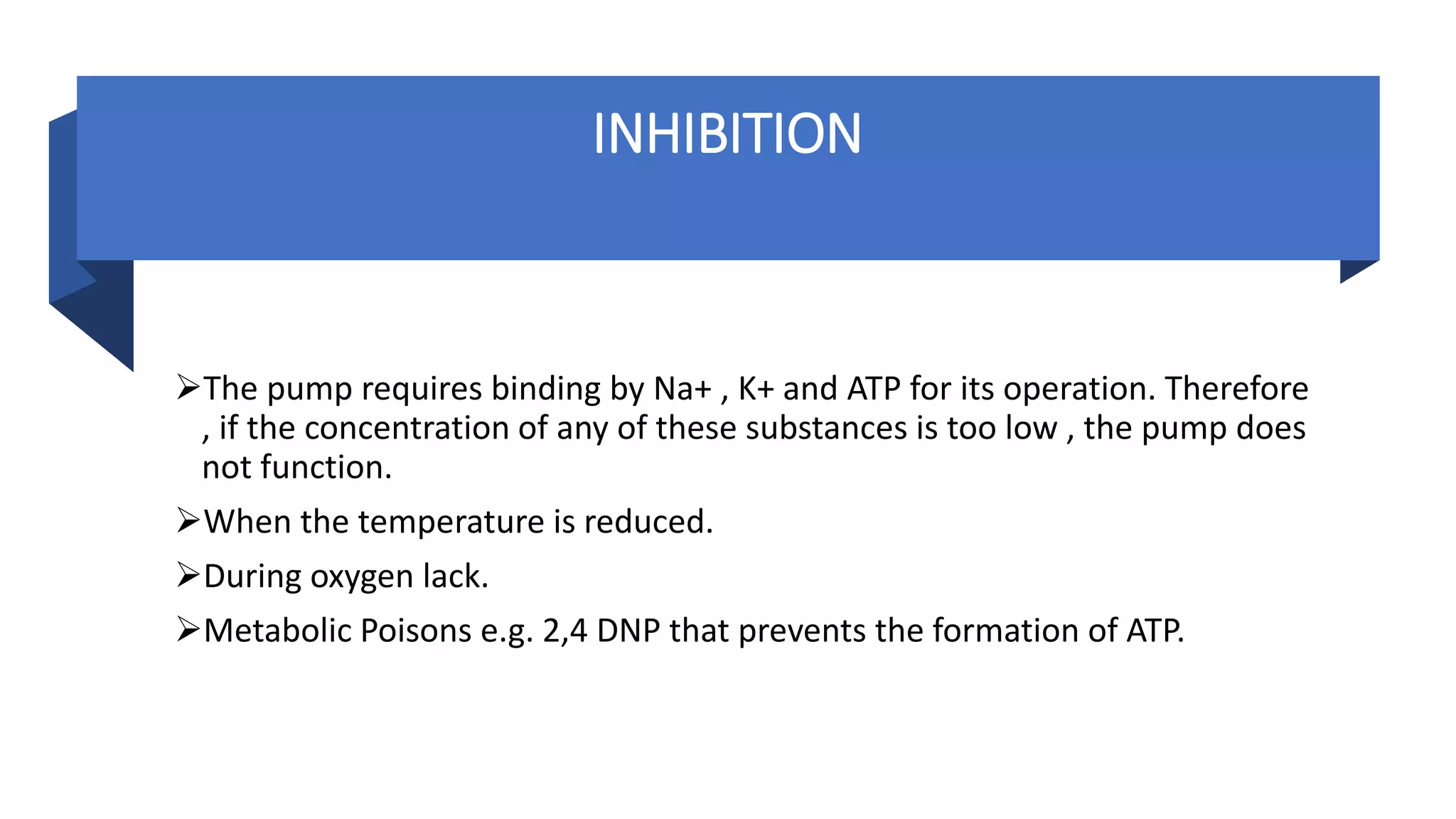 Sodium potassium pump | PDF