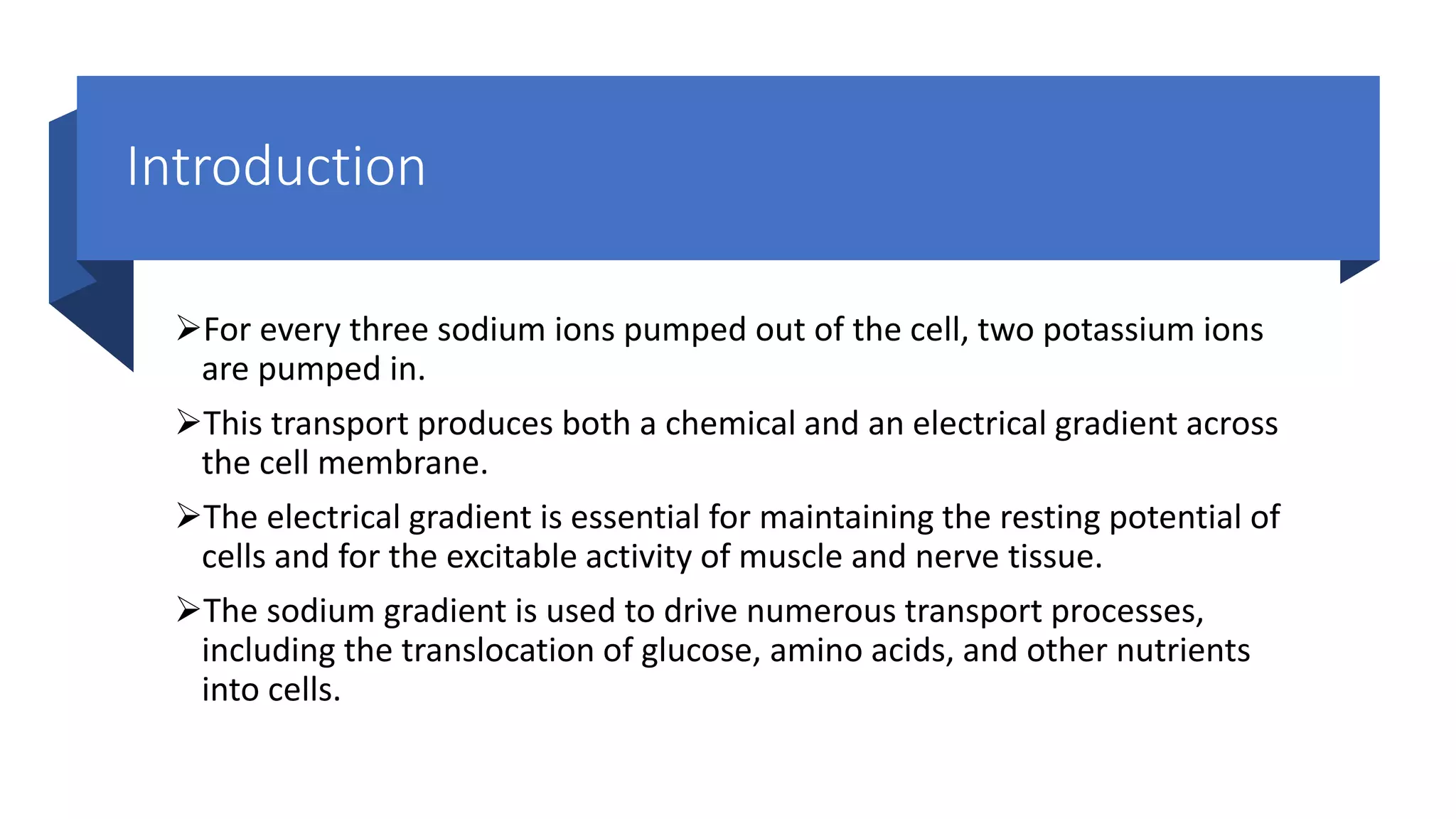 Sodium potassium pump | PDF