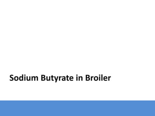 Sodium Butyrate in Broiler
 