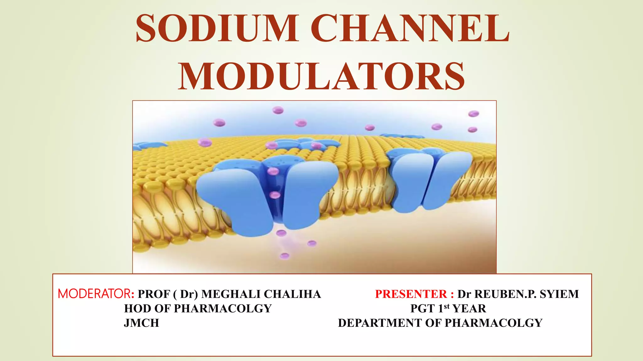 Sodium channel modulator | PPTX