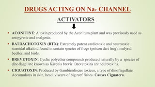 DRUGS ACTING ON NaV CHANNEL
ACTIVATORS
 ACONITINE: A toxin produced by the Aconitum plant and was previously used as
antipyretic and analgesic.
 BATRACHOTOXIN (BTX): Extremely potent cardiotoxic and neurotoxic
steroidal alkaloid found in certain species of frogs (poison dart frog), melyrid
beetles, and birds.
 BREVETOXIN: Cyclic polyether compounds produced naturally by a species of
dinoflagellate known as Karenia brevis. Brevetoxins are neurotoxins.
 CIGUATOXIN: Produced by Gambierdiscus toxicus, a type of dinoflagellate
Accumulates in skin, head, viscera of big reef fishes. Causes Ciguatera.
 