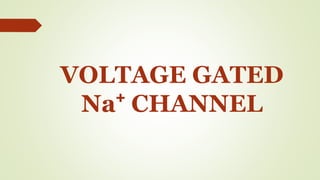 VOLTAGE GATED
Na⁺ CHANNEL
 