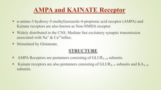AMPA and KAINATE Receptor
 α-amino-3-hydroxy-5-methylisoxazole-4-propionic acid receptor (AMPA) and
Kainate receptors are also known as Non-NMDA receptor.
 Widely distributed in the CNS. Mediate fast excitatory synaptic transmission
associated with Na⁺ & Ca²⁺influx.
 Stimulated by Glutamate.
STRUCTURE
 AMPA Receptors are pentamers consisting of GLUR₁₋₄ subunits.
 Kainate receptors are also pentamers consisting of GLUR₅₋₇ subunits and KA₁₋₂
subunits.
 