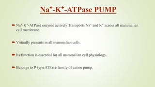 Na⁺-K⁺-ATPase PUMP
 Na⁺-K⁺-ATPase enzyme actively Transports Na⁺ and K⁺ across all mammalian
cell membrane.
 Virtually presents in all mammalian cells.
 Its function is essential for all mammalian cell physiology.
 Belongs to P-type ATPase family of cation pump.
 