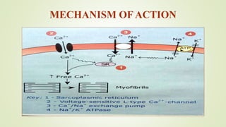 MECHANISM OF ACTION
 