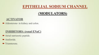 EPITHELIAL SODIUM CHANNEL
(MODULATORS)
ACTIVATOR
 Aldosterone- in kidney and colon.
INHIBITORS: (renal ENaC)
 Atrial natriuretic peptide.
 Amiloride.
 Triamterene.
 