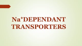 Na⁺DEPENDANT
TRANSPORTERS
 