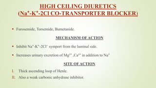 HIGH CEILING DIURETICS
(Na⁺-K⁺-2Cl CO-TRANSPORTER BLOCKER)
 Furosemide, Torsemide, Bumetanide.
MECHANISM OF ACTION
 Inhibit Na⁺-K⁺-2Cl⁻ symport from the luminal side.
 Increases urinary excretion of Mg²⁺ ,Ca²⁺ in addition to Na⁺
SITE OF ACTION
I. Thick ascending loop of Henle.
II. Also a weak carbonic anhydrase inhibitor.
 