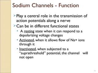 Sodium Channels - Function
Play a central role in the transmission of
action potentials along a nerve
Can be in different functional states
• A resting state when it can respond to a
depolarizing voltage changes
• Activated, when it allows flow of Na+ ions
through it
• Inactivated, when subjected to a
“suprathreshold” potential, the channel will
not open
14
 