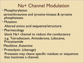 Na+ Channel Modulation
Phosphorylation
serine/threonine and tyrosine kinases & tyrosine
phosphatases.
Mutation
Altered amino acid sequence/structure
Pharmacology
block Na+ channel to reduce the conductance
e.g. Tetrodotoxin, Amioderone, Lidocaine,
Procainamide
Mexilitine ,Ketamine
Proteolysis- (cleavage)
Proteases may cleave specific residues or sequences
that inactivate a channel.
 
