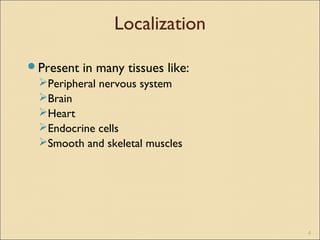 Localization
Present in many tissues like:
Peripheral nervous system
Brain
Heart
Endocrine cells
Smooth and skeletal muscles
4
 