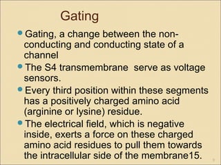 Gating
Gating, a change between the non-
conducting and conducting state of a
channel
The S4 transmembrane serve as voltage
sensors.
Every third position within these segments
has a positively charged amino acid
(arginine or lysine) residue.
The electrical field, which is negative
inside, exerts a force on these charged
amino acid residues to pull them towards
the intracellular side of the membrane15. 9
 
