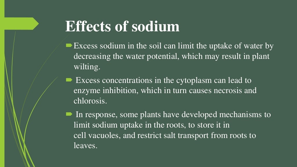 Sodium & its role in plant