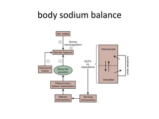 Sodium metabolism and disorders | PPTX