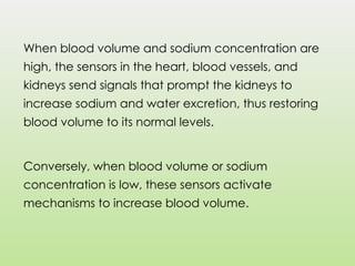When blood volume and sodium concentration are
high, the sensors in the heart, blood vessels, and
kidneys send signals that prompt the kidneys to
increase sodium and water excretion, thus restoring
blood volume to its normal levels.
Conversely, when blood volume or sodium
concentration is low, these sensors activate
mechanisms to increase blood volume.
 