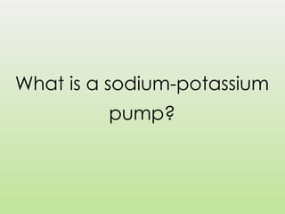 What is a sodium-potassium
pump?
 
