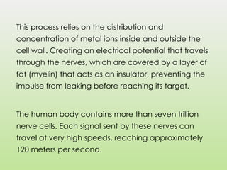 This process relies on the distribution and
concentration of metal ions inside and outside the
cell wall. Creating an electrical potential that travels
through the nerves, which are covered by a layer of
fat (myelin) that acts as an insulator, preventing the
impulse from leaking before reaching its target.
The human body contains more than seven trillion
nerve cells. Each signal sent by these nerves can
travel at very high speeds, reaching approximately
120 meters per second.
 