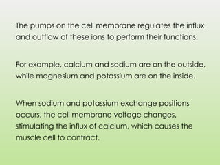 The pumps on the cell membrane regulates the influx
and outflow of these ions to perform their functions.
For example, calcium and sodium are on the outside,
while magnesium and potassium are on the inside.
When sodium and potassium exchange positions
occurs, the cell membrane voltage changes,
stimulating the influx of calcium, which causes the
muscle cell to contract.
 
