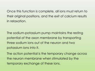 Once this function is complete, all ions must return to
their original positions, and the exit of calcium results
in relaxation.
The sodium-potassium pump maintains the resting
potential of the axon membrane by transporting
three sodium ions out of the neuron and two
potassium ions into it.
The action potential is the temporary change across
the neuron membrane when stimulated by the
temporary exchange of these ions.
 
