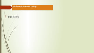 Sodium potassium pump | PPT