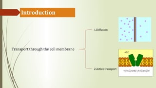 Sodium potassium pump | PPT