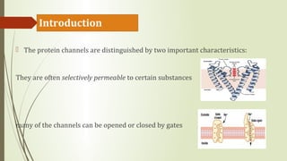 Sodium potassium pump | PPT