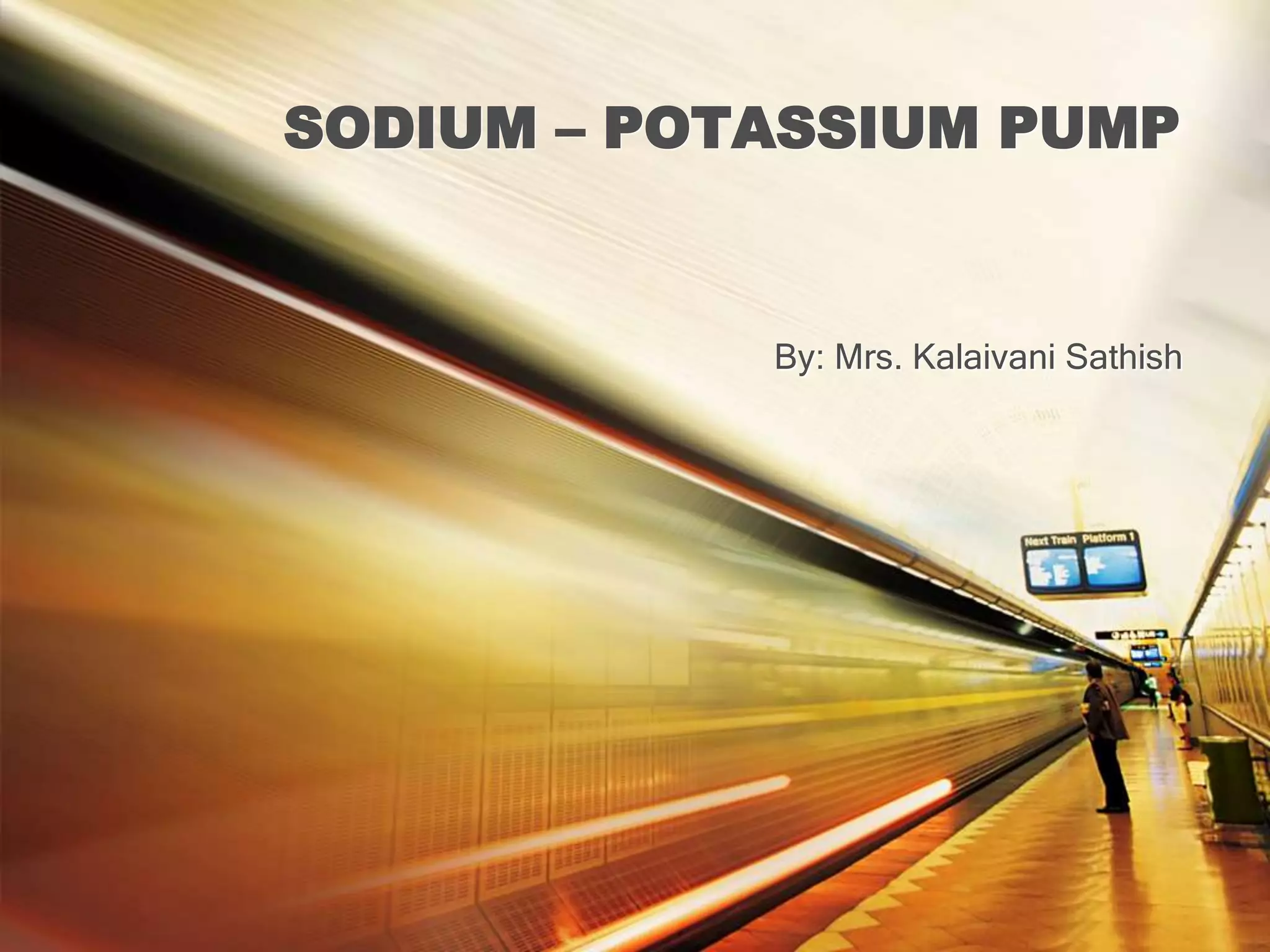 Sodium potassium pump | PPT