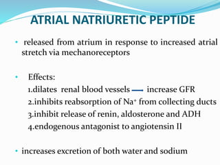 ATRIAL NATRIURETIC PEPTIDE
• released from atrium in response to increased atrial
stretch via mechanoreceptors
• Effects:
1.dilates renal blood vessels increase GFR
2.inhibits reabsorption of Na+ from collecting ducts
3.inhibit release of renin, aldosterone and ADH
4.endogenous antagonist to angiotensin II
• increases excretion of both water and sodium
 