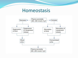Homeostasis
 