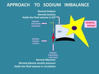ECF
NORMAL
PERIPHERAL
PERFUSION
NORMAL
PERFUSION
PRESSURES
Normal Albumen
Normal plasma oncotic pressure
NORMAL
CARDIAC
OUTPUT
Normal Sodium
Normal tonicity
Holds the fluid volume in circulation
Holds the fluid volume in ECF
NORMAL
PATIENT
APPROACH TO SODIUM IMBALANCE
 