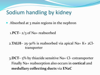 Sodium handling by kidney
 Absorbed at 3 main regions in the nephron
1.PCT– 2/3 of Na+ reabsorbed
2.TALH– 25-30% is reabsorbed via apical Na+ K+ 2Cl-
transporter
3.DCT– 5% by thiazide sensitive Na+ Cl- cotransporter
Finally Na+ reabsorption also occurs in cortical and
medullary collecting ducts via ENaC
 