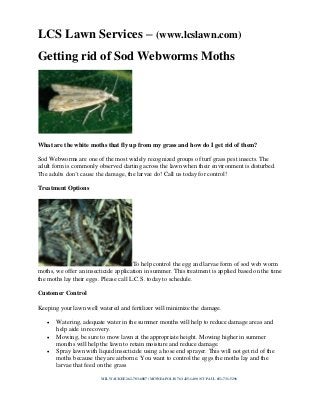 LCS Lawn Services – (www.lcslawn.com)
Getting rid of Sod Webworms Moths

What are the white moths that fly up from my grass and how do I get rid of them?
Sod Webworms are one of the most widely recognized groups of turf grass pest insects. The
adult form is commonly observed darting across the lawn when their environment is disturbed.
The adults don’t cause the damage, the larvae do! Call us today for control!
Treatment Options

To help control the egg and larvae form of sod web worm
moths, we offer an insecticide application in summer. This treatment is applied based on the time
the moths lay their eggs. Please call L.C.S. today to schedule.
Customer Control
Keeping your lawn well watered and fertilizer will minimize the damage.




Watering, adequate water in the summer months will help to reduce damage areas and
help aide in recovery.
Mowing, be sure to mow lawn at the appropriate height. Mowing higher in summer
months will help the lawn to retain moisture and reduce damage.
Spray lawn with liquid insecticide using a hose end sprayer. This will not get rid of the
moths because they are airborne. You want to control the eggs the moths lay and the
larvae that feed on the grass
MILWAUKEE 262-783-6887 | MINNEAPOLIS 763-425-1400 | ST PAUL 651-731-5296

 