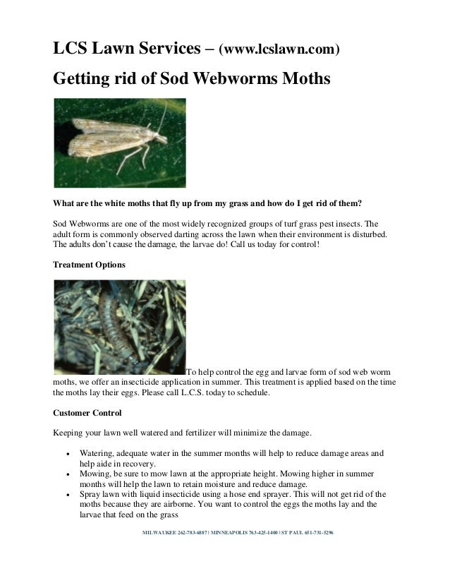 How Do I Get Rid Of Moths In My Lawn