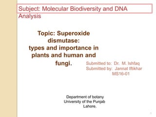 1
Subject: Molecular Biodiversity and DNA
Analysis
Topic: Superoxide
dismutase:
types and importance in
plants and human and
fungi. Submitted to: Dr. M. Ishfaq
Submitted by: Jannat Iftikhar
MS16-01
Department of botany
University of the Punjab
Lahore.
 