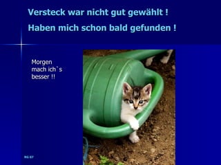 Versteck war nicht gut gewählt !
 Haben mich schon bald gefunden !


   Morgen
   mach ich`s
   besser !!




RG 07
 