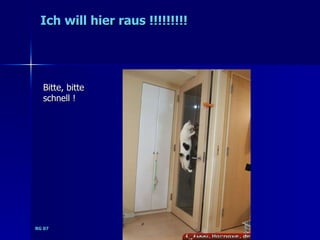 Ich will hier raus !!!!!!!!!




  Bitte, bitte
  schnell !




RG 07
 