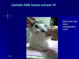 Lächeln fällt heute schwer !!!




                                    Geht nicht mal
                                    wenn
                                    nachgeholfen
                                    wird !




RG 07
 