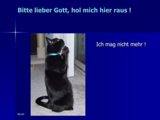 Bitte lieber Gott, hol mich hier raus !




                          Ich mag nicht mehr !




RG 07
 